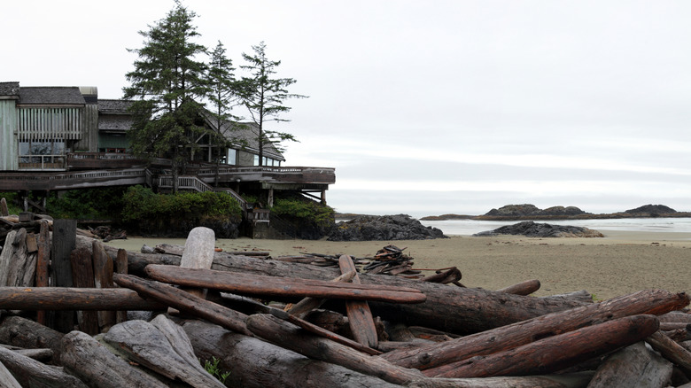Washed-up logs and Kwisitis Visitor Center at Wickaninnish Beach