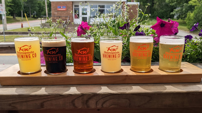 A flight of beers at Tatamagouche Brewing Co.