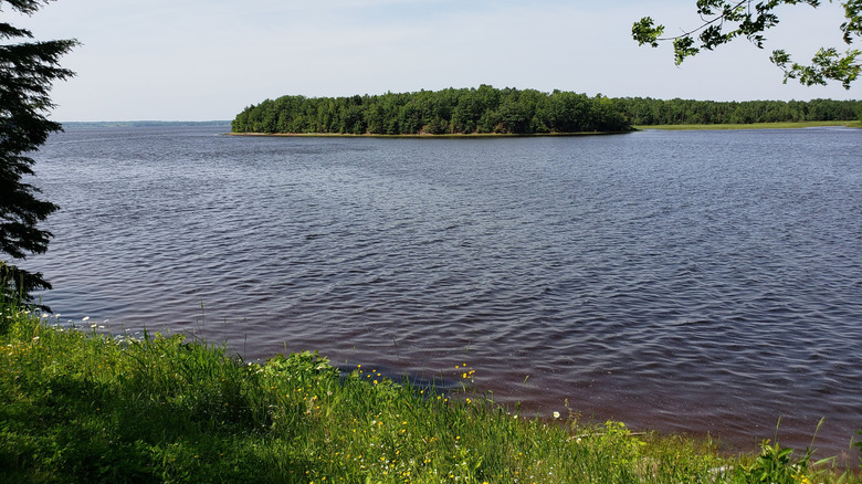Tatamagouche River view from the Trans-Canada Trail