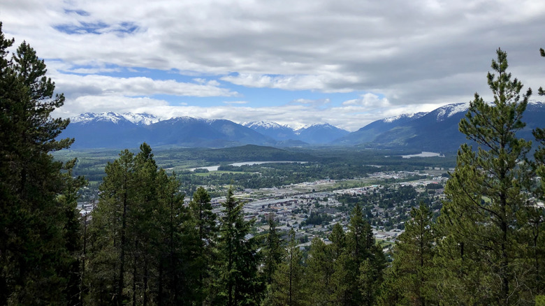 Views of the trees and Skeena River valley from the hiking trails on Terrace Mountain