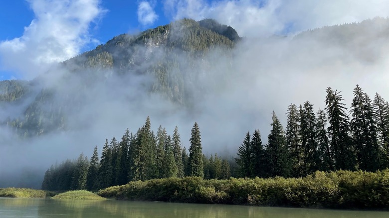 Mountains surrounded by mist and trees on the banks of the Skeena River in Terrace, British Columbia