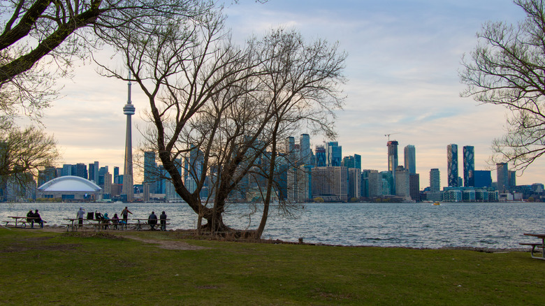 People sitting at tables on Toronto Island Park overlooking the Toronto city skyline and harbor.
