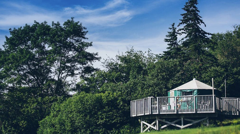Yurt in Whycocomagh Provincial Park