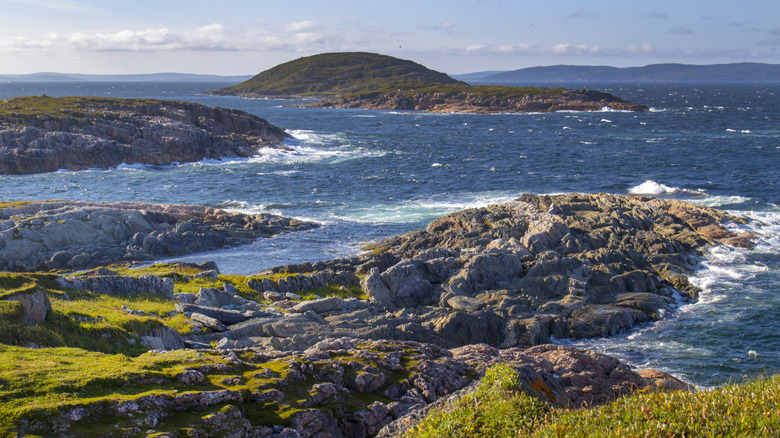 Grassy and rocky coastline near the sea, Newfoundland