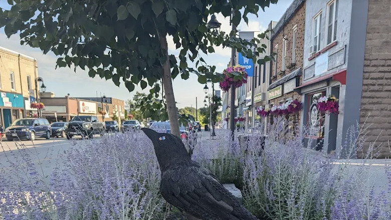 A look at a black bird sculpture with Colborne Street in the background in downtown Fenelon Falls, ON