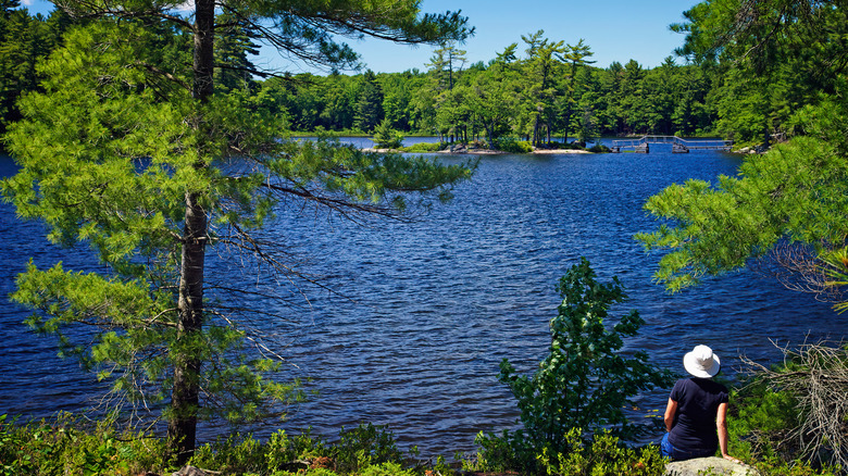 A hiker sitting on a rock looking out over Hardy Lake at a small island with timber bridges.
