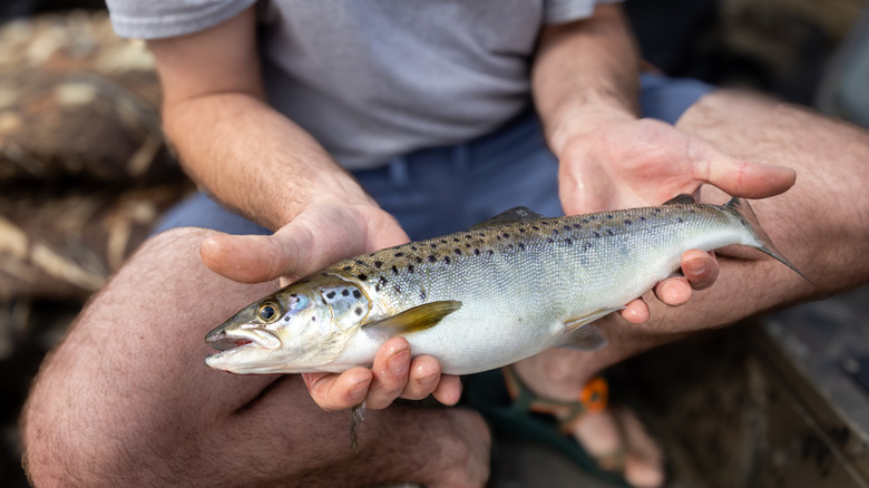 Man holding freshly-caught landlocked salmon