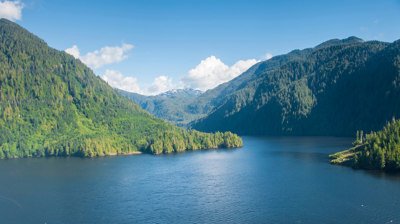 Fjord in the Great Bear Rainforest off the coast of British Columbia