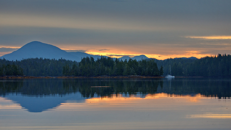 Mountains blanketed in rainforest on the British Columbia coast during sunset