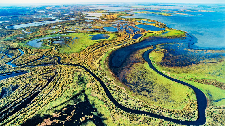 An aerial view of numerous waterways within Wood Buffalo National Park in Alberta