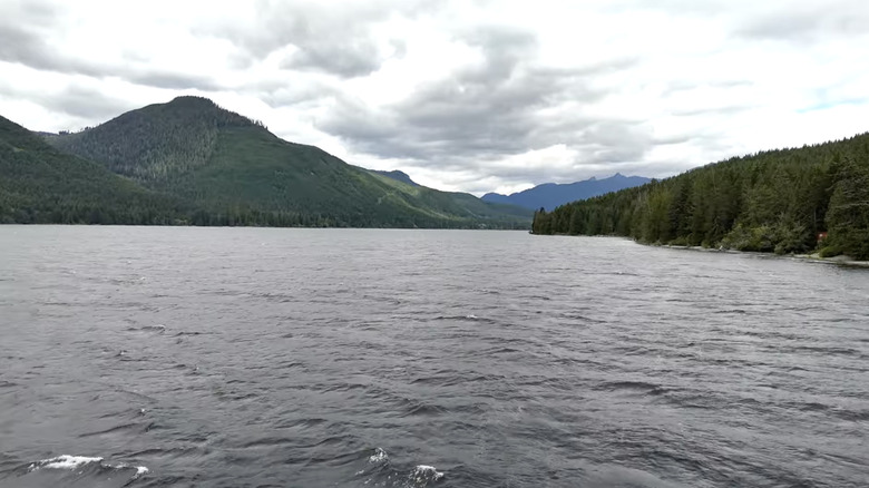 A view from the water on Woss Lake, beneath a partly cloudy summer sky in Canada