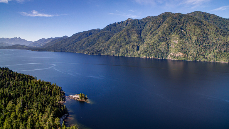 An aerial view of Woss Lake on a sunny day in British Columbia, Canada