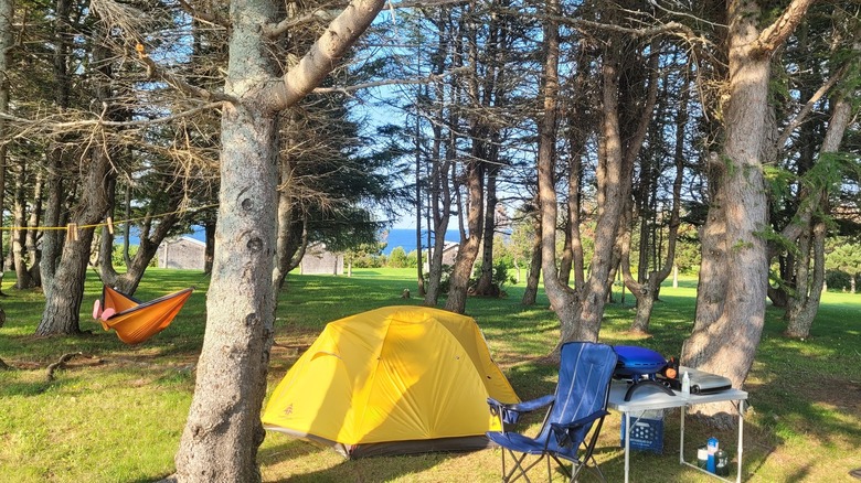 Tent camping set up among shaded trees with sea background