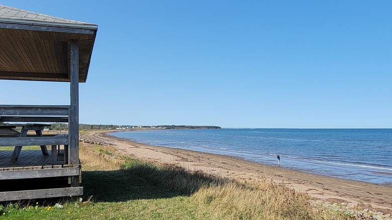 Beach on a sunny day with picnic hut