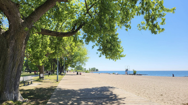 Tress and a waterfront pathway at Woodbine Beach Park in Toronto