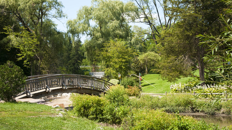 A tranquil garden setting with curved wooden bridge in Edwards Garden, Toronto