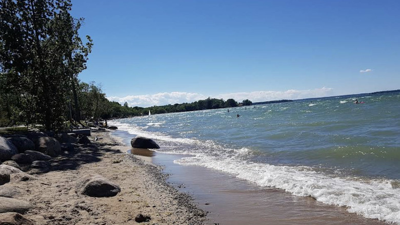 Rocks among the sand and people swimming in the water on a sunny day on Willow Beach in Georgina, Ontario