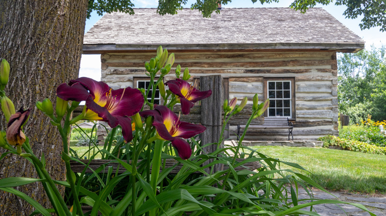 A log cabin surrounded by greenery and flowers