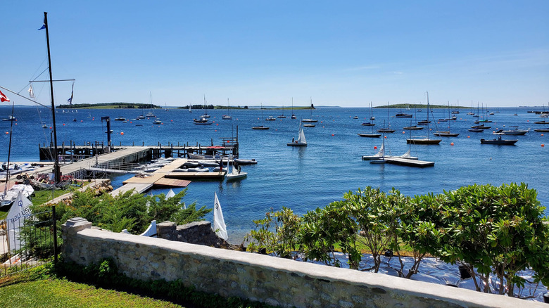 Boats in dark blue water at Chester, Canada, with a harbor and green trees in the foreground and a big blue sky devoid of clouds