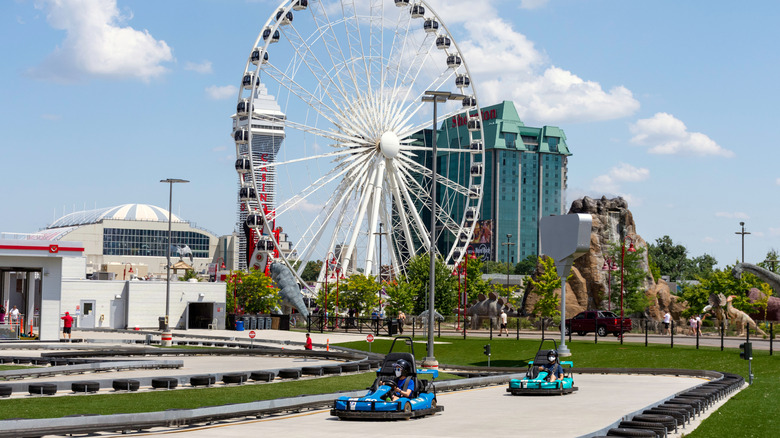 Niagara Speedway with SkyWheel and mini golf in background