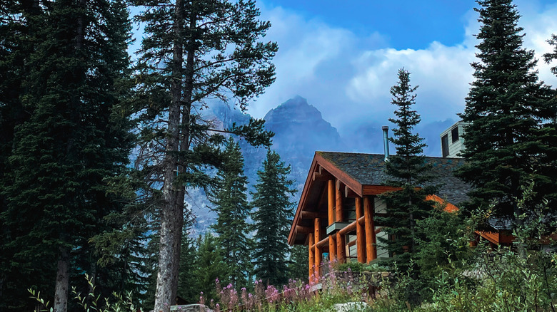 Mountain lodge among trees in Banff