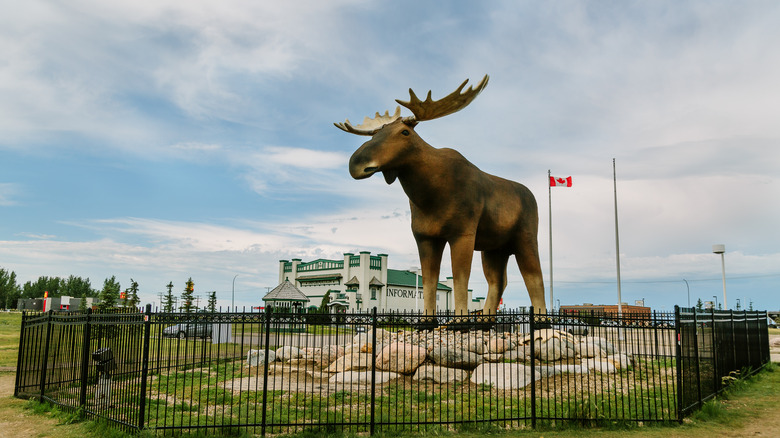 Mac the Moose statue in Moose Jaw, Saskatchewan