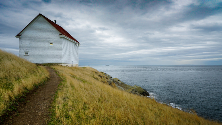 An historic white house on a golden plain of grass perched above the waters of the Salish Sea on Canada's Saturna Island