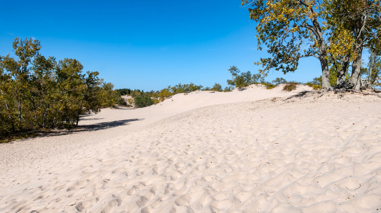 Dunes Beach in Sandbanks Provincial Park, Ontario, Canada
