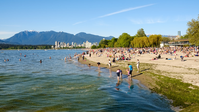 Scenic view of Vancouver's skyline with beachgoers enjoying Kitsilano Beach under a clear blue sky