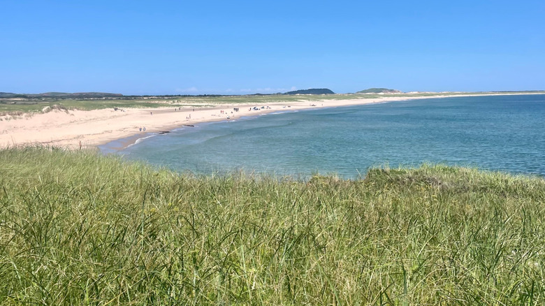 An overview of the very long, sandy Old Harry Beach (Plage de la Grande Échouerie) in Quebec