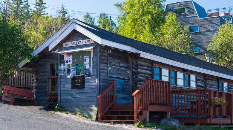 The Wildcat Cafe in Old Town