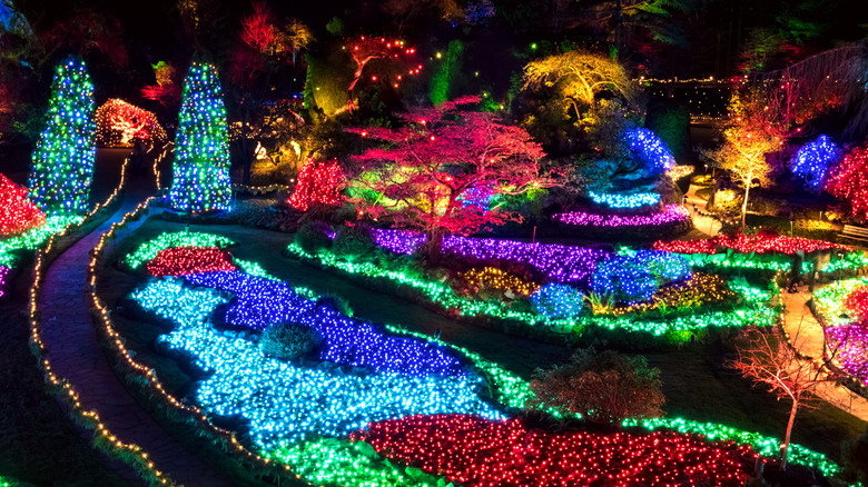 The Christmas Lights display at Butchart Gardens
