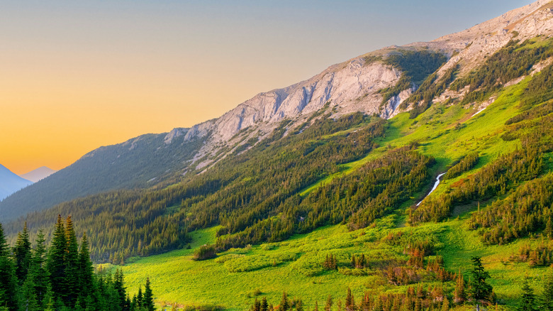 View of Tumbler Tidge UNESCO Global Geosite