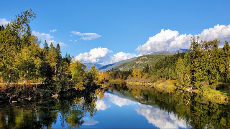 A vivid view of Slocan Lake surrounded by trees