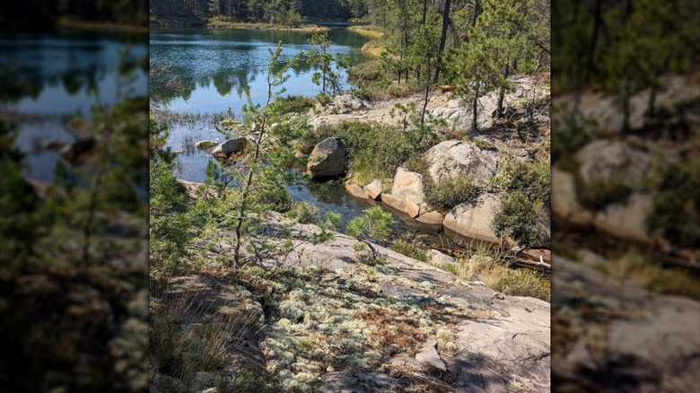 A rocky and forested shoreline along a creek in Wanapitei Provincial Park