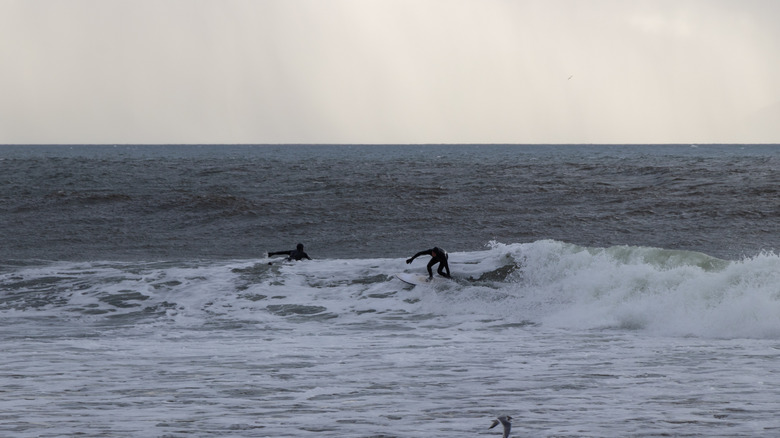People surfing in Jordan River