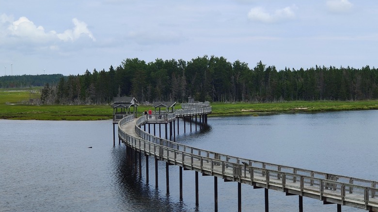 The long boardwalk to the eco park on Lamèque Island leading to a small area of dense forest
