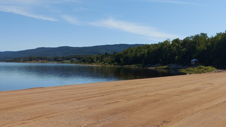 Red sands and green trees by lakeside in Pasadena Beach Park