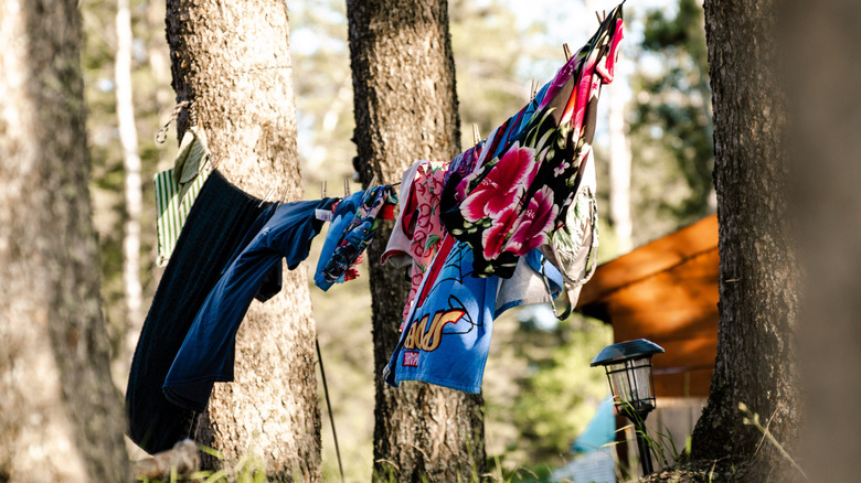 clothing hanging at a campsite in Duck Mountain Provincial Park in Manitoba