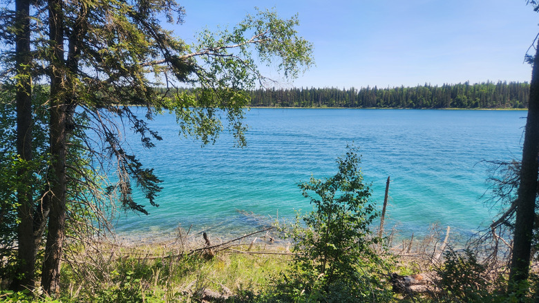 view from hiking trail at Blue Lakes in Duck Mountain Provincial Park