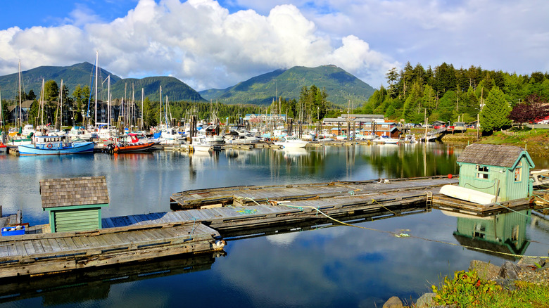 A harbor and mountains