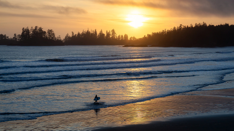 A surfer in the water at sunset