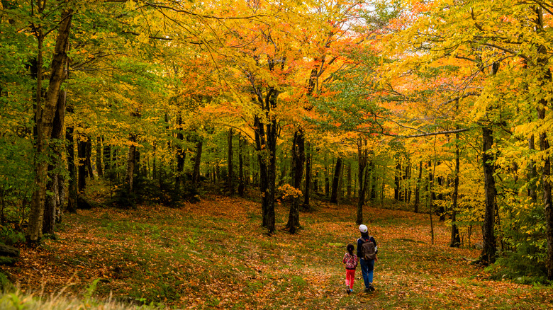 Mother and daughter in fall setting in Sutton, Canada