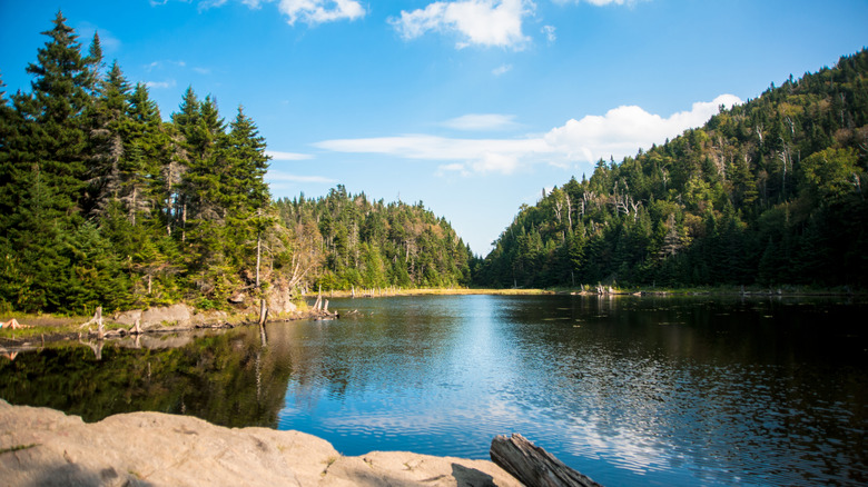 Spruce Lake in Sutton Natural Environment Park