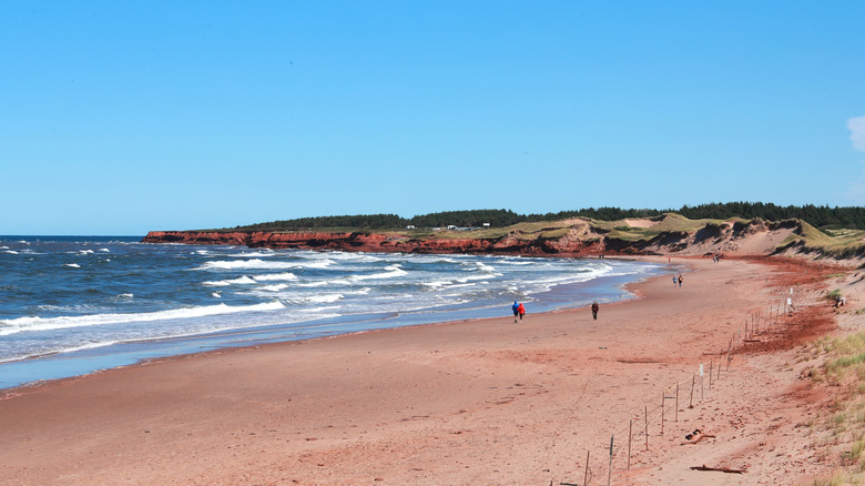 Copper-colored sand beach  at Prince Edward Island with red sandstone cliffs in background