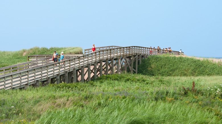People walking along a boardwalk at Prince Edward Island over grassy hills and sand dunes