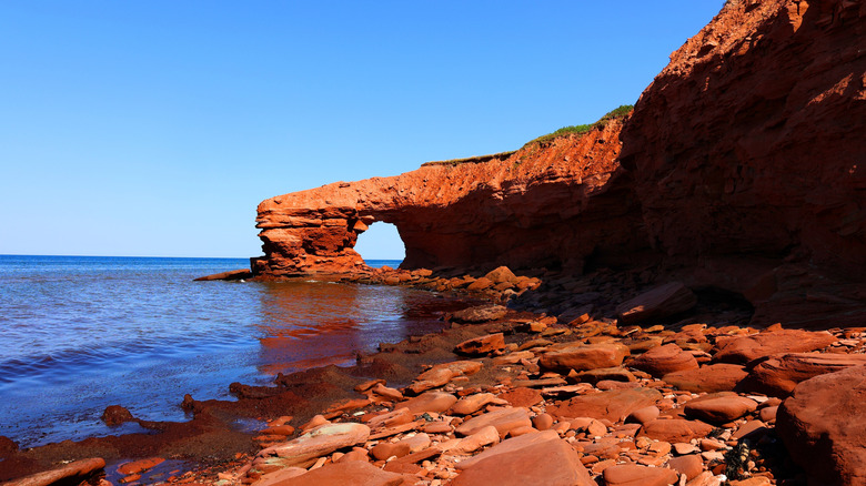 A copper red cliff along the edge of the ocean at Prince Edward Island