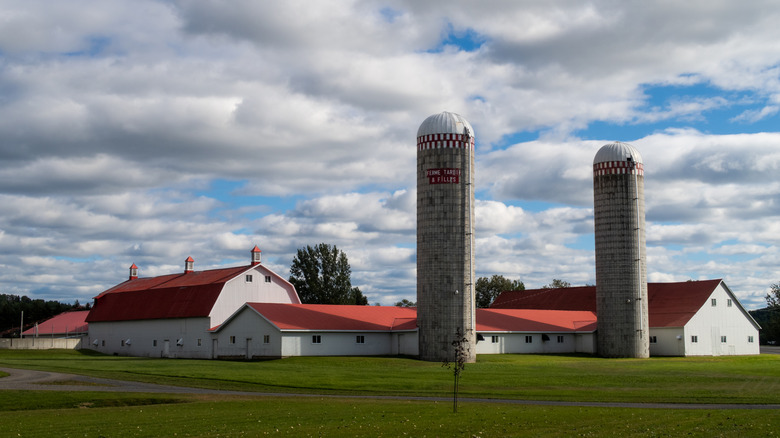 A farm in Amqui, Canada with two silos