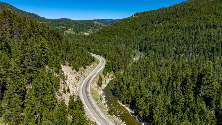 Forests flank both sides of the Crowsnest Highway in Canada