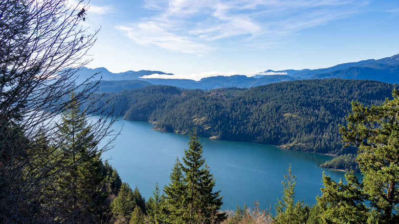 A high view of the sprawling Harrison Lake with trees and mountains under a blue sky and clouds.